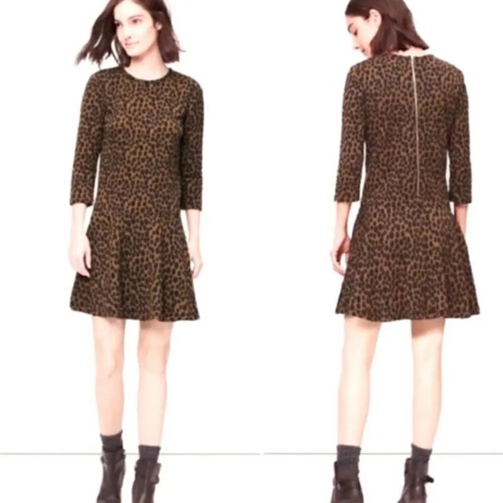 Loft Drop Waist Leopard Print Dress - NWT! Size Large